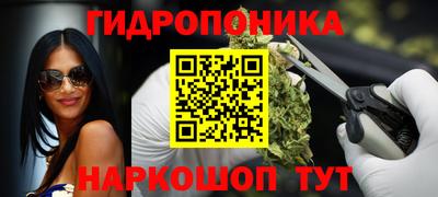 ешки Можга
